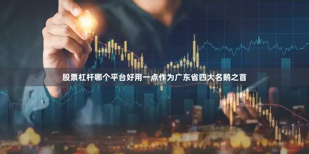 股票杠杆哪个平台好用一点作为广东省四大名鹅之首