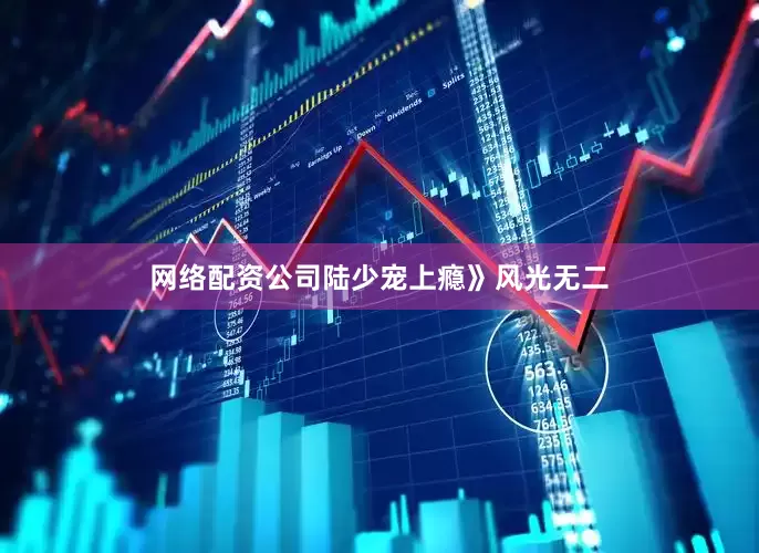 网络配资公司陆少宠上瘾》风光无二